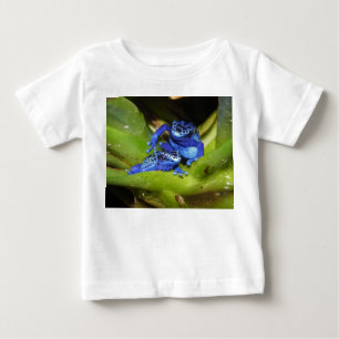 Blauwgifdekkikkers in bladeren 1