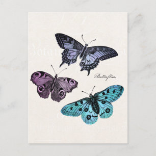 Blauwgroen blauwe Paarse roze vlindertekening Briefkaart