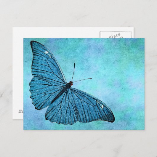 Blauwgroen blauwe vlinder 1800s Illustratie Briefkaart (Voorkant / Achterkant)