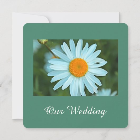 Blauwgroen bruiloft, mooie witte dagbloem kaart (Achterkant)