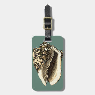 Blauwgroen Conch Shell Bagagelabel