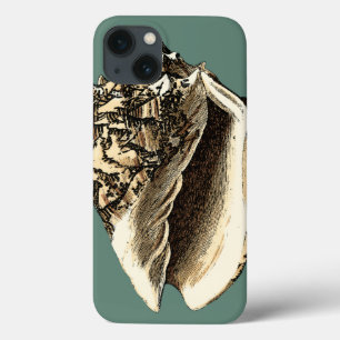 Blauwgroen Conch Shell iPhone 13 Hoesje