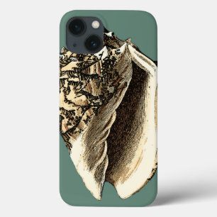 Blauwgroen Conch Shell iPhone 13 Hoesje
