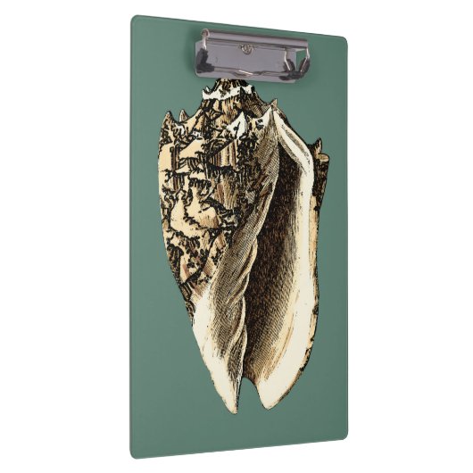 Blauwgroen Conch Shell Klembord (Rechts)