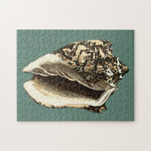 Blauwgroen Conch Shell Legpuzzel (Horizontaal)
