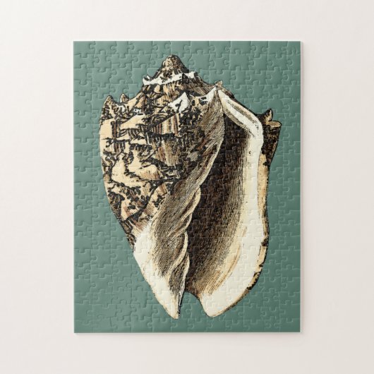 Blauwgroen Conch Shell Legpuzzel (Verticaal)