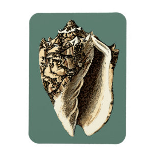 Blauwgroen Conch Shell Magneet