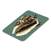 Blauwgroen Conch Shell Magneet (Linkerzijde)