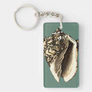 Blauwgroen Conch Shell Sleutelhanger