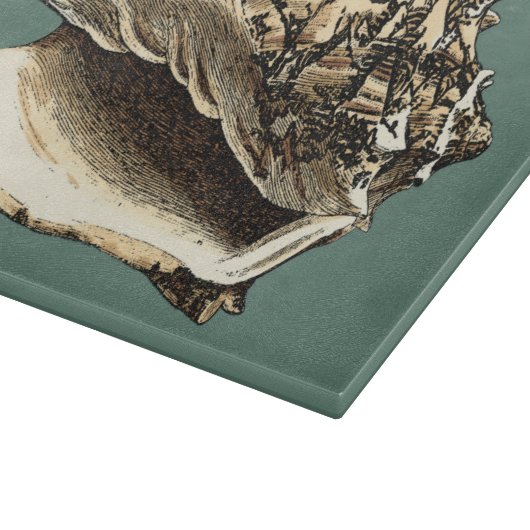 Blauwgroen Conch Shell Snijplank (Hoek)