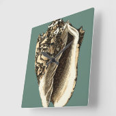 Blauwgroen Conch Shell Vierkante Klok (Hoek)