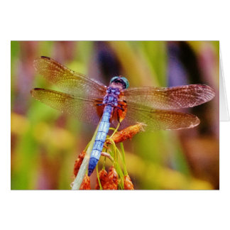 Blauwgroen dragonvlieg op rand