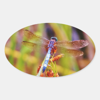 Blauwgroen dragonvlieg op rand ovale sticker