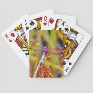 Blauwgroen dragonvlieg op rand pokerkaarten