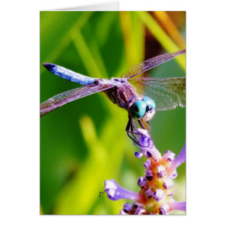 Blauwgroen en paarse dragonvlieg