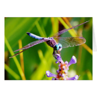 Blauwgroen en paarse dragonvlieg
