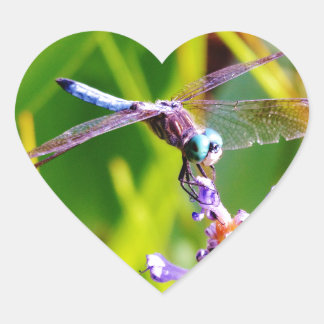 Blauwgroen en paarse dragonvlieg hart sticker