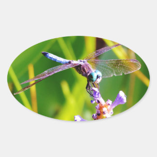 Blauwgroen en paarse dragonvlieg ovale sticker