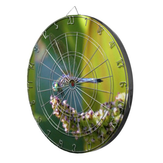Blauwgroen-eyed Dragonfly Dartbord (Voorkant Rechts)