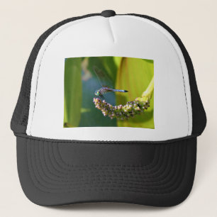 Blauwgroen-eyed Dragonfly Trucker Pet