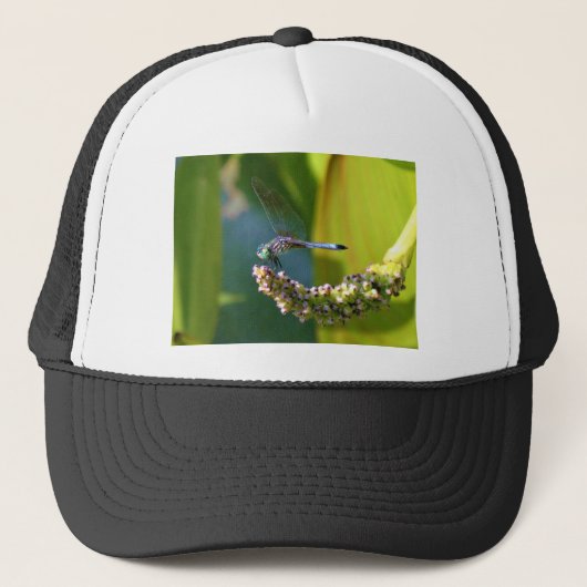 Blauwgroen-eyed Dragonfly Trucker Pet (Voorkant)