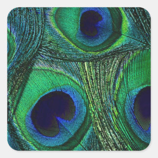 Blauwgroen Groene Blauwe Peacock Veer Stickers / A