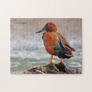 Blauwgroen kaneeltekening kijkt terug legpuzzel
