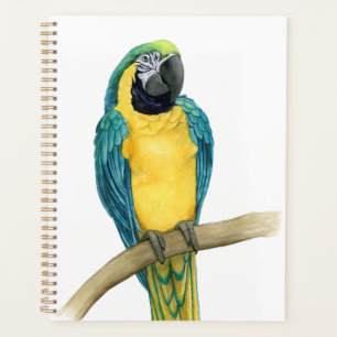 Blauwgroen Macaw Planner