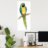 Blauwgroen Macaw Poster (Thuiskantoor)