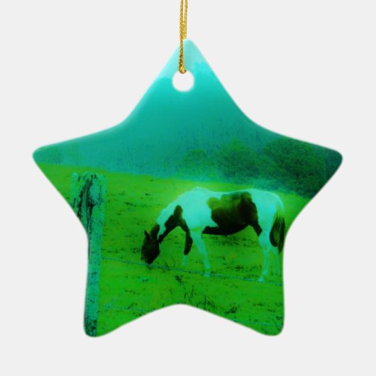 Blauwgroen nevel Reto gekleurde verf pony Paard Keramisch Ornament (Voorkant)