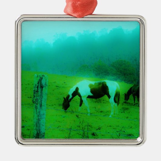 Blauwgroen nevel Reto gekleurde verf pony Paard Metalen Ornament (Voorkant)