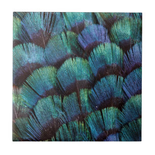 Blauwgroen ontwerp met fazantveer tegeltje