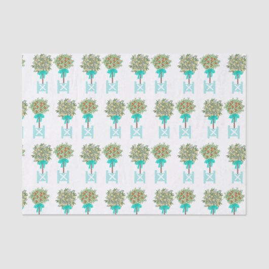 Blauwgroen Oranje Robin's Egg Blue Tissuepapier (Voorkant)