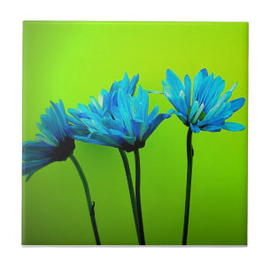 Blauwgroen Turquoise Daisies op Lime Green Flowers Tegeltje