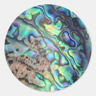 Blauwgroene paua-zeebrasedetails ronde sticker