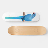 Blauwkeelspatbord Skateboard (Horizontaal)