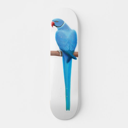 Blauwkeelspatbord Skateboard (Voorkant)