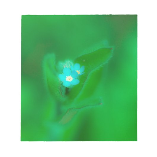 Blauwkleurig Notitieblok (Voorkant)