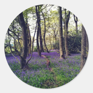 Blauwmakreel bos Floral modern elegant Prachtig Ronde Sticker