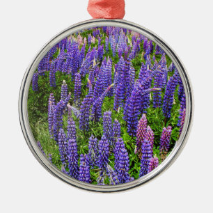 Blauwnetjes Blauwe Bloemen Texas Texan Lupine Metalen Ornament