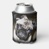 blauwogig putje blikjeskoeler (Blikje Achterkant)