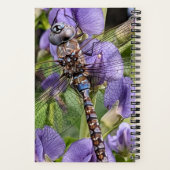 Blauwogige darner libel op bloem notitieboek (Achterkant)