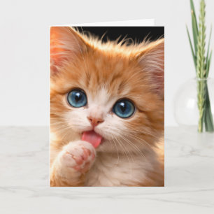 Blauwogige kitten die zijn poot likt kaart