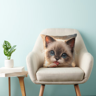Blauwoog Siamese, Kitten likt zijn poot Kussen