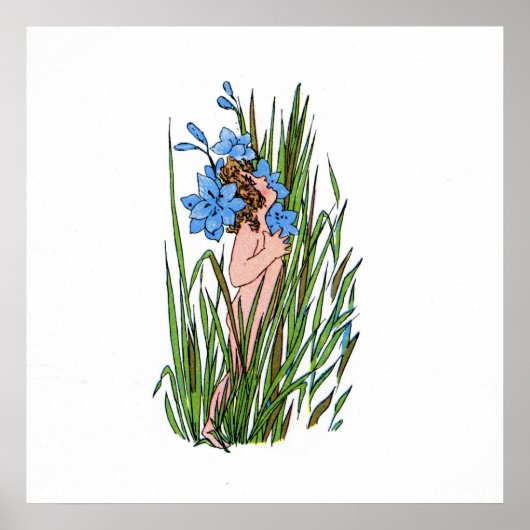 Blauwoogrog Poster (Voorkant)