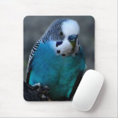 Blauwparaket mousepad muismat (Met muis)