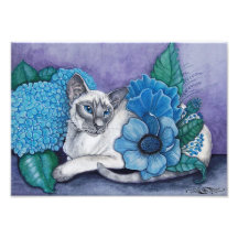 Blauwpunt Siamees