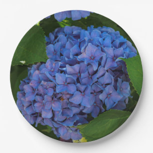 Blauwschildpadden - de blauwe hydrangea papieren bordje