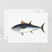 Blauwvintonijn Briefkaart (Voorkant / Achterkant)