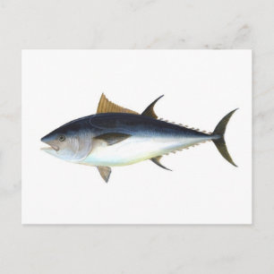 Blauwvintonijn Briefkaart